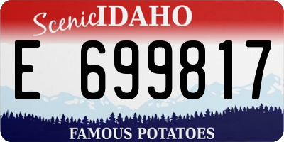 ID license plate E699817