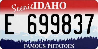 ID license plate E699837