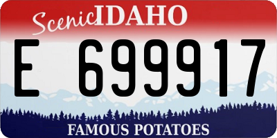 ID license plate E699917