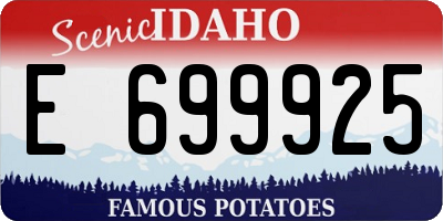 ID license plate E699925