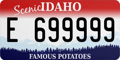 ID license plate E699999