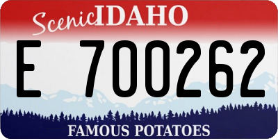ID license plate E700262