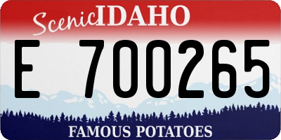 ID license plate E700265