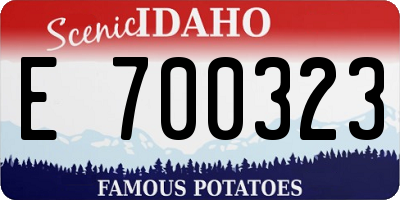 ID license plate E700323