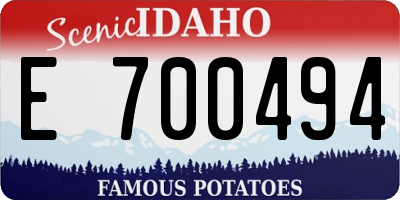 ID license plate E700494