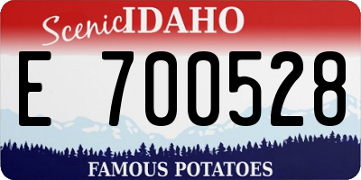 ID license plate E700528