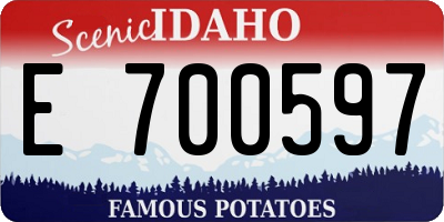 ID license plate E700597