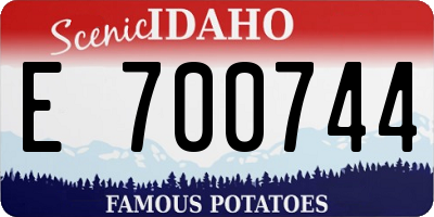 ID license plate E700744