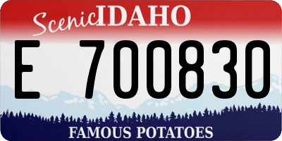 ID license plate E700830