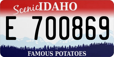 ID license plate E700869