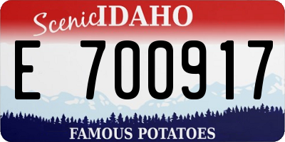 ID license plate E700917