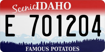 ID license plate E701204