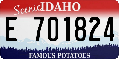 ID license plate E701824