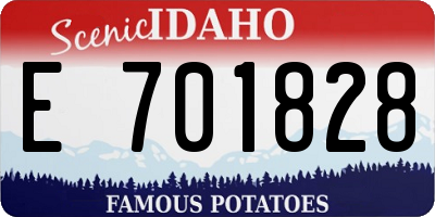 ID license plate E701828