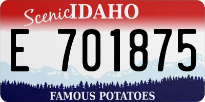 ID license plate E701875