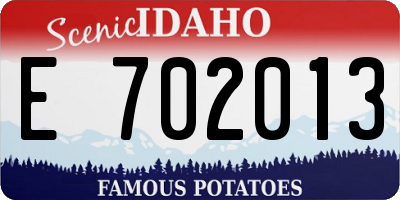 ID license plate E702013