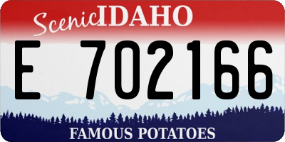 ID license plate E702166