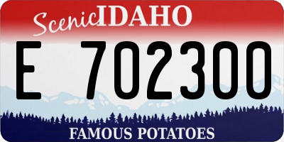 ID license plate E702300