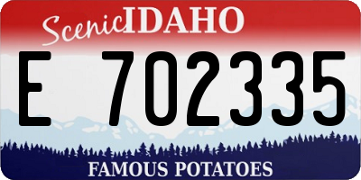 ID license plate E702335