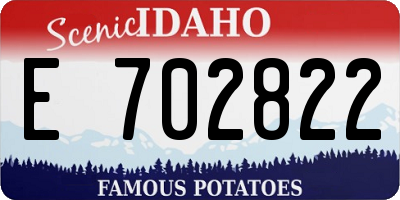 ID license plate E702822