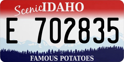 ID license plate E702835