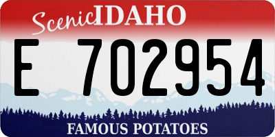 ID license plate E702954