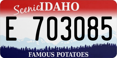 ID license plate E703085