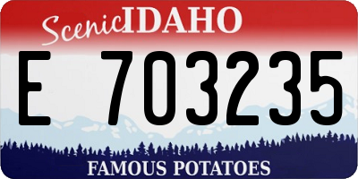 ID license plate E703235