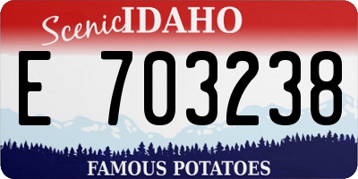 ID license plate E703238