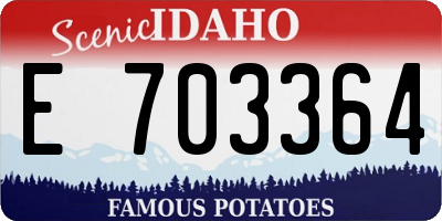 ID license plate E703364
