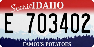 ID license plate E703402