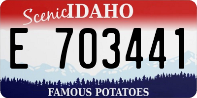 ID license plate E703441