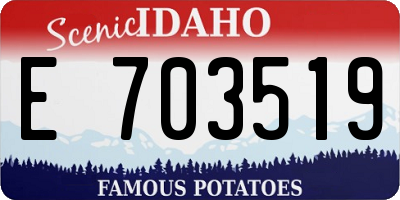 ID license plate E703519