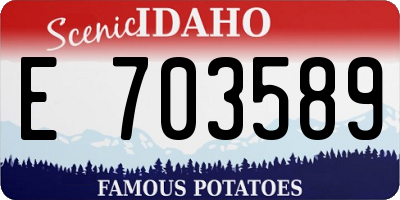 ID license plate E703589