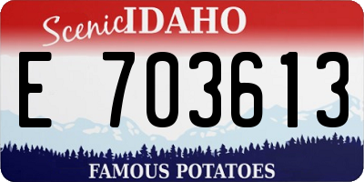 ID license plate E703613