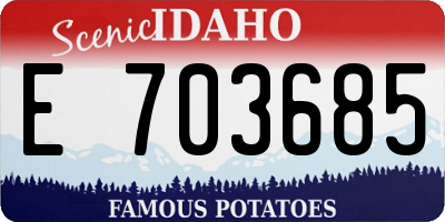 ID license plate E703685