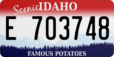 ID license plate E703748