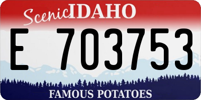 ID license plate E703753