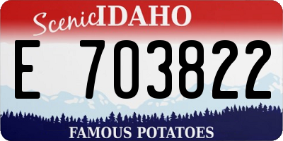 ID license plate E703822