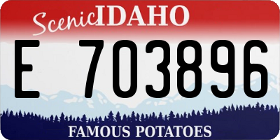 ID license plate E703896