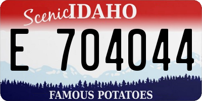 ID license plate E704044