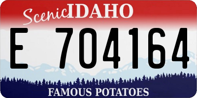 ID license plate E704164