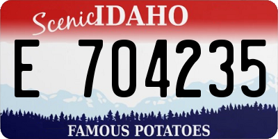 ID license plate E704235