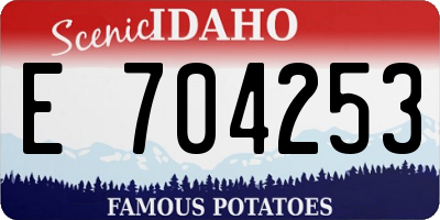 ID license plate E704253