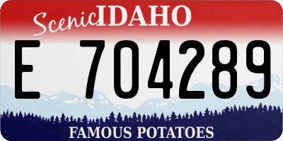 ID license plate E704289