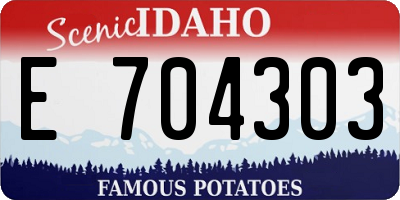 ID license plate E704303