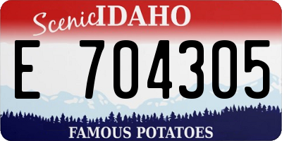 ID license plate E704305
