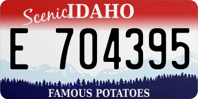 ID license plate E704395