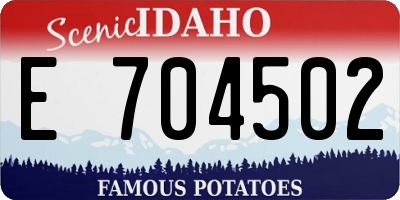 ID license plate E704502
