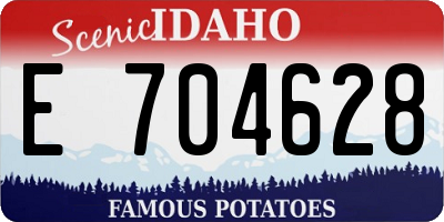 ID license plate E704628